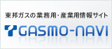 GASMO-NAVI
