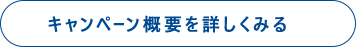 キャンペーン概要を詳しくみる