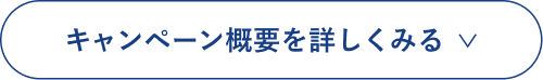 キャンペーン概要を詳しく見る