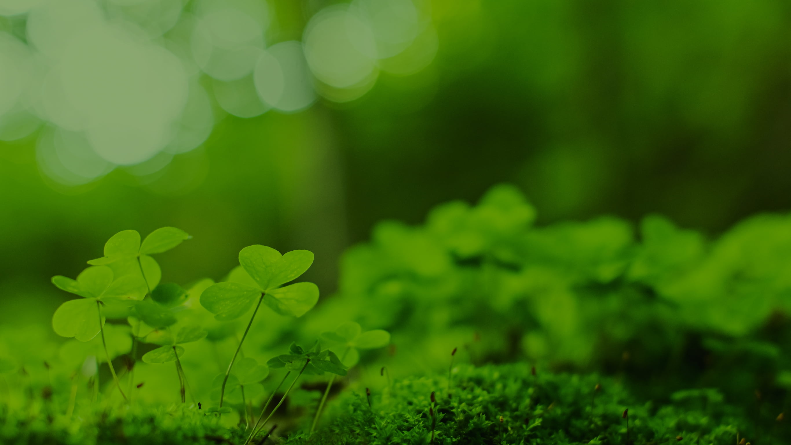 カーボンニュートラルの実現