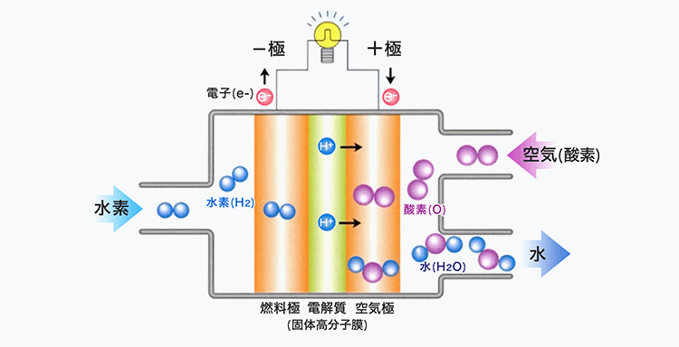 固体高分子形燃料電池の発電原理