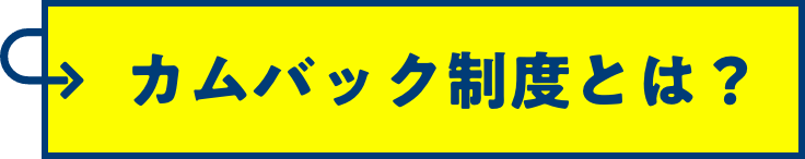 カムバック制度とは？