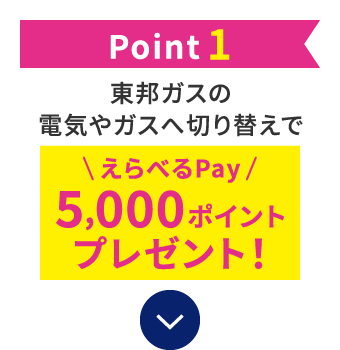 Point1 東邦ガスの電気やガスへ切り替えでえらべるPay5,000ポイントプレゼント！