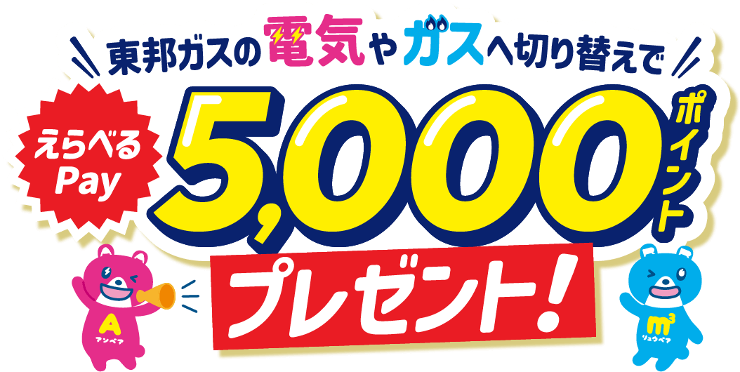 東邦ガスの電気やガスへ切り替えでえらべるPay5,000ポイントプレゼント！