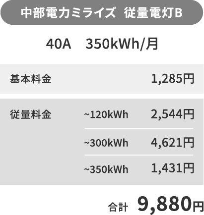 中部電気ミライズ 従量電灯B