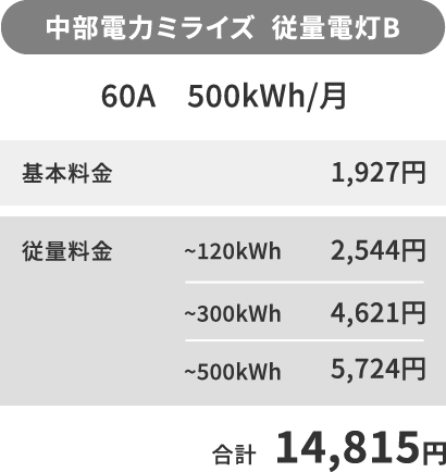 中部電気ミライズ 従量電灯B