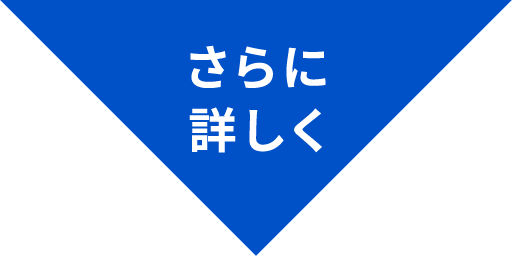 さらに詳しく