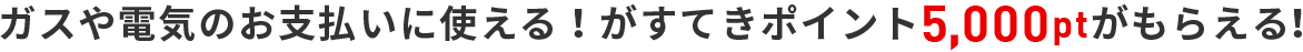 ガスや電気のお支払いに使える！がすてきポイント5,000ptがもらえる！