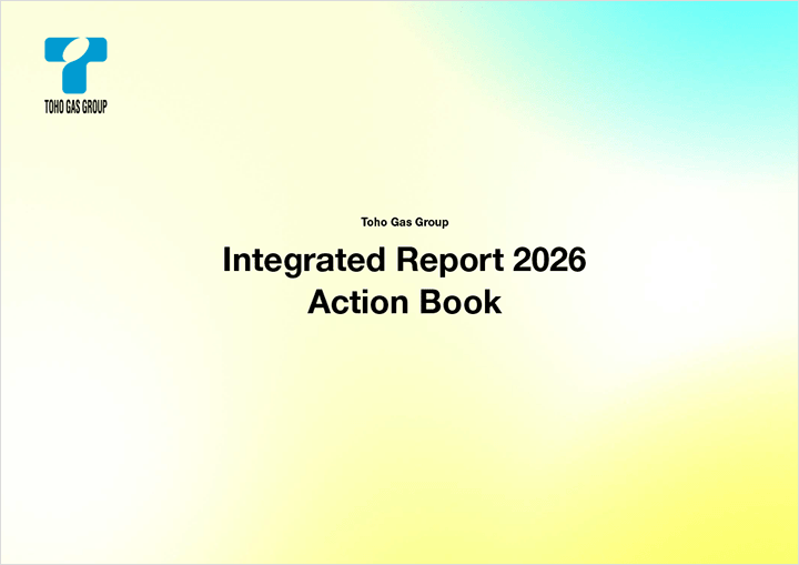 Integrated Report Action Book