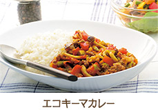 エコキーマカレー