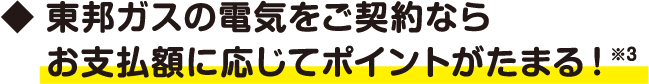 東邦ガスの電気をご契約なら、お支払額に応じてポイントがたまる！※3