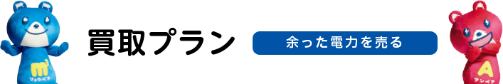 買取プラン 余った電力を売る