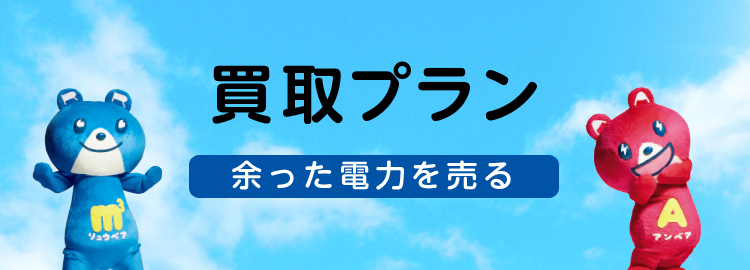 買取プラン 余った電気を売る